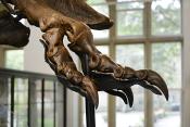 manchester museum 9-2023 8902